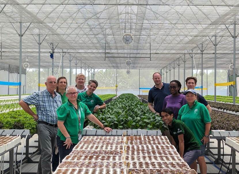 Vietnamese and Dutch growing partners stand proudly around their produce inside of a greenhouse